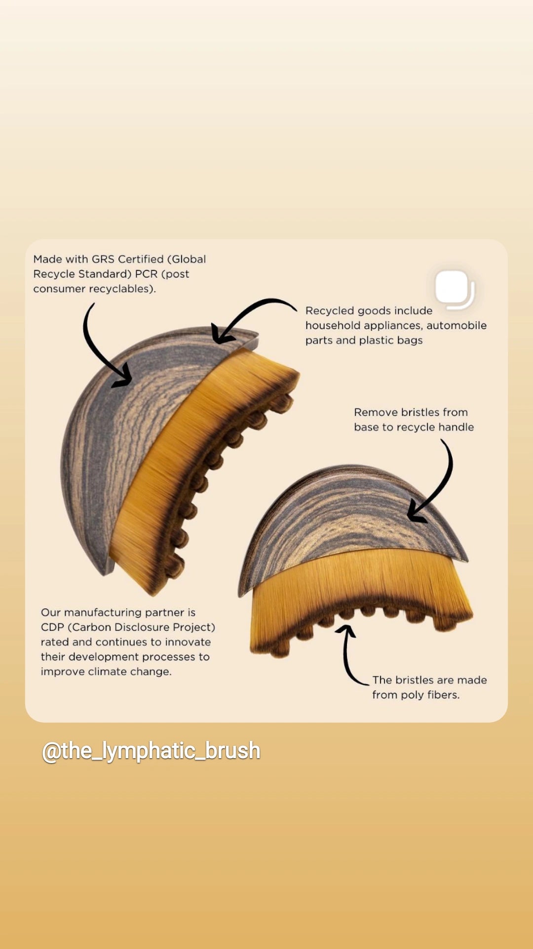 The Lymphatic Brush Small by Cecily Braden